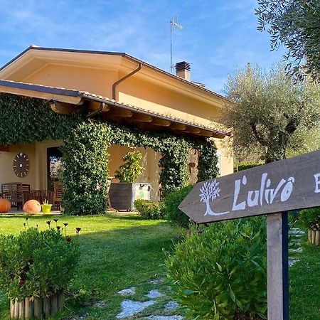 L' Ulivo Bed & Breakfast Teramo Dış mekan fotoğraf