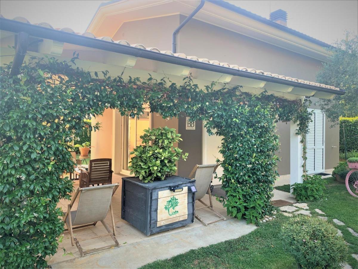 L' Ulivo Bed & Breakfast Teramo Dış mekan fotoğraf
