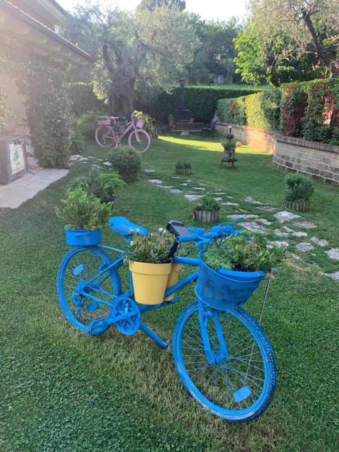 L' Ulivo Bed & Breakfast Teramo Dış mekan fotoğraf