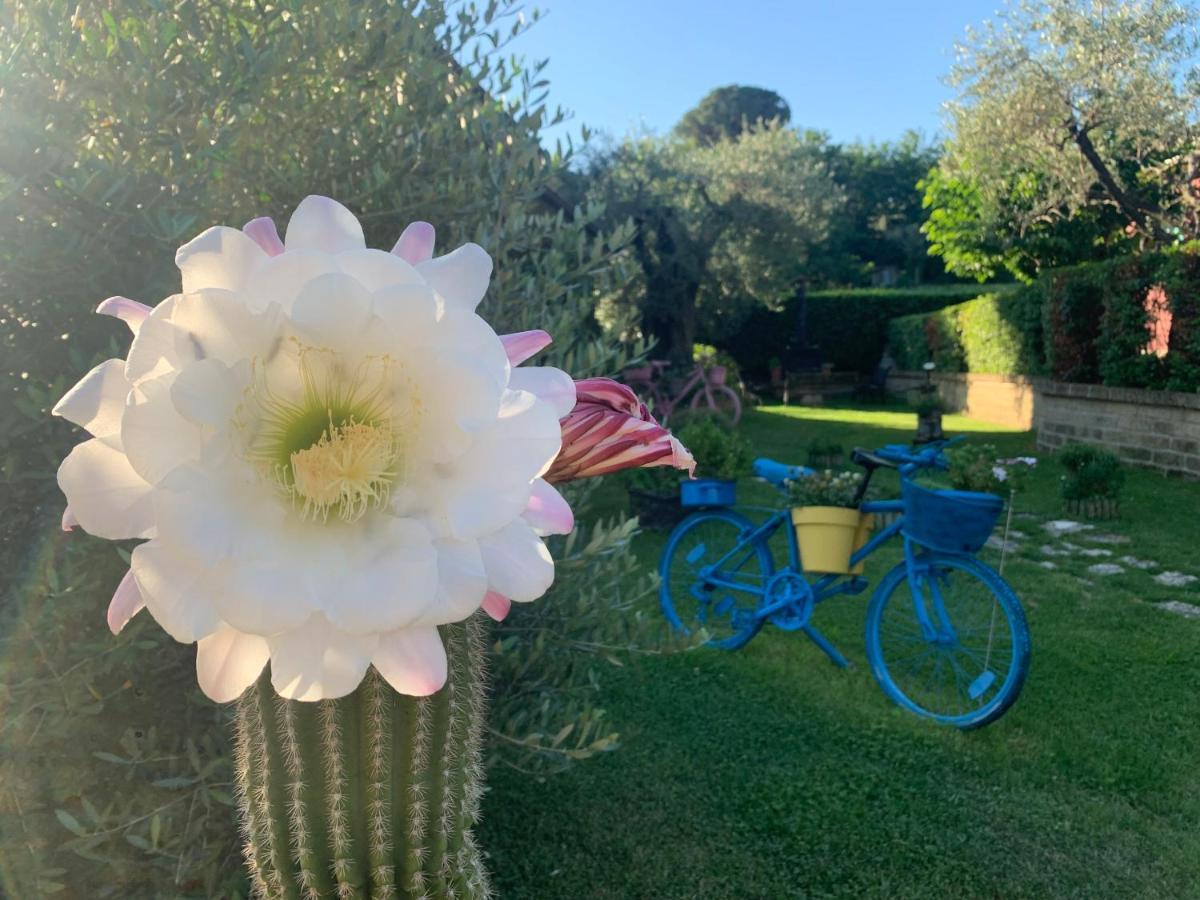 L' Ulivo Bed & Breakfast Teramo Dış mekan fotoğraf